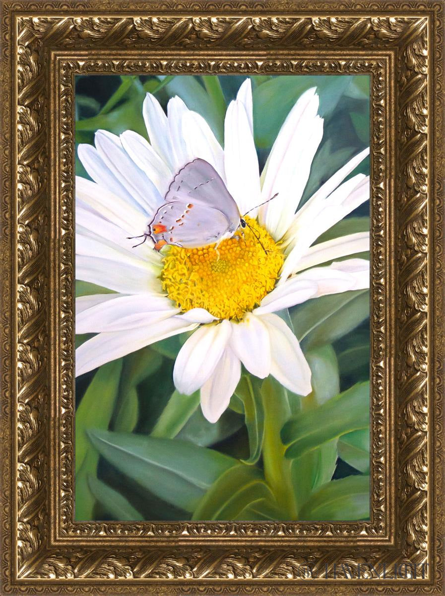 The Daisy And Butterfly Open Edition Canvas / 12 X 18 Gold 17 3/4 23 Art