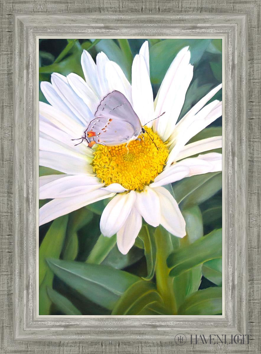 The Daisy And Butterfly Open Edition Canvas / 12 X 18 Silver 16 3/4 22 Art