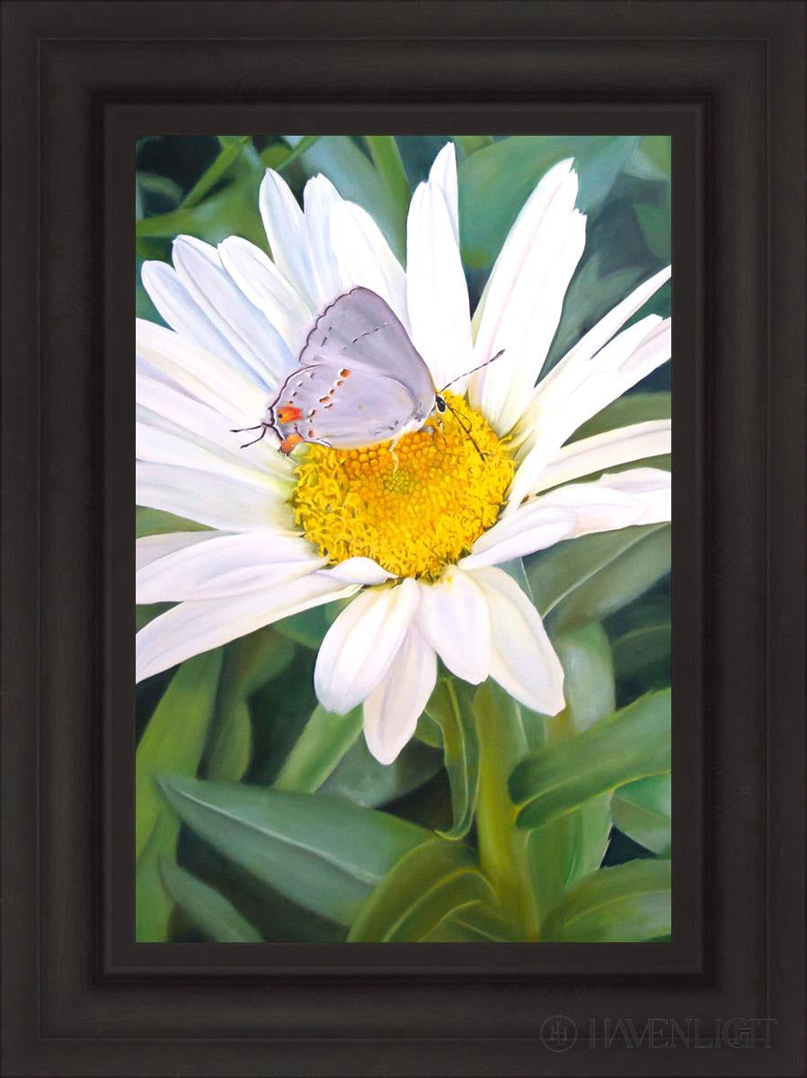The Daisy And Butterfly Open Edition Canvas / 16 X 24 Brown 23 3/4 31 Art