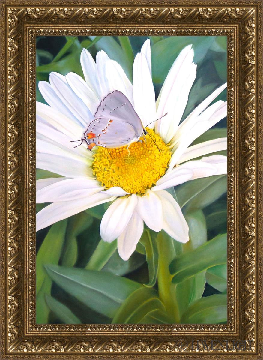 The Daisy And Butterfly Open Edition Canvas / 16 X 24 Gold 21 3/4 29 Art