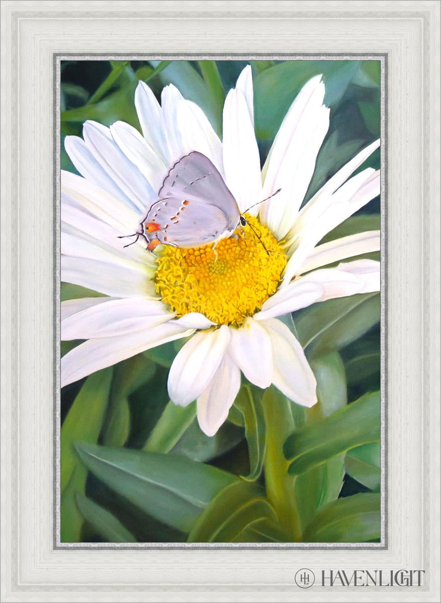 The Daisy And Butterfly Open Edition Canvas / 16 X 24 White 21 3/4 29 Art