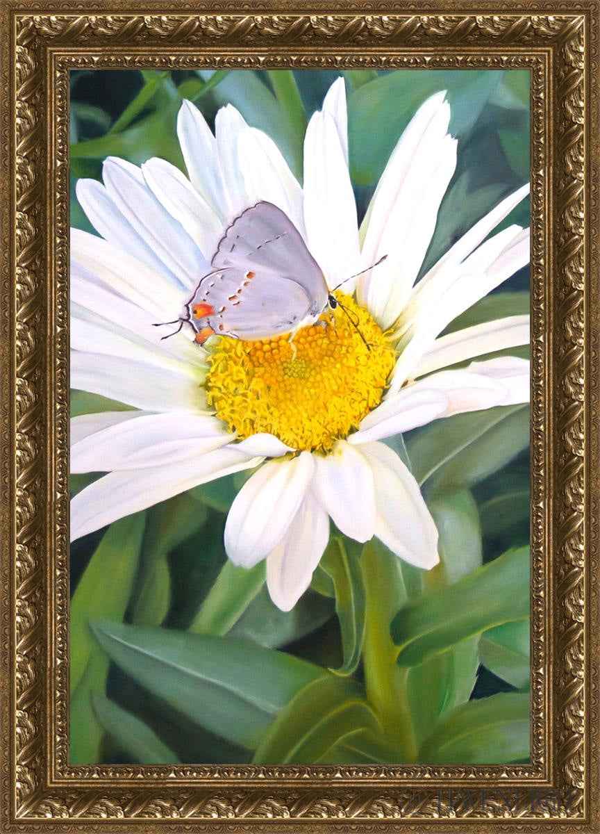 The Daisy And Butterfly Open Edition Canvas / 20 X 30 Gold 25 3/4 35 Art