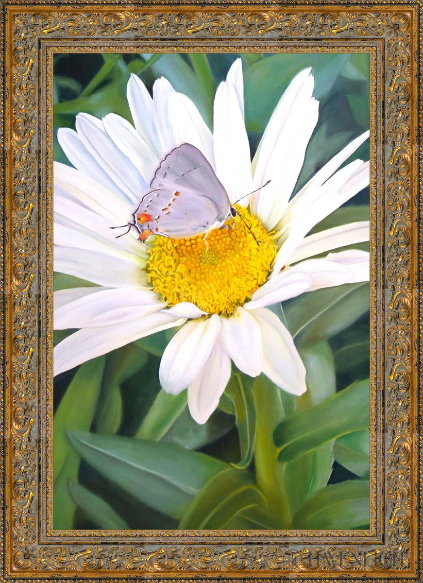 The Daisy And Butterfly Open Edition Canvas / 24 X 36 Gold 31 3/4 43 Art