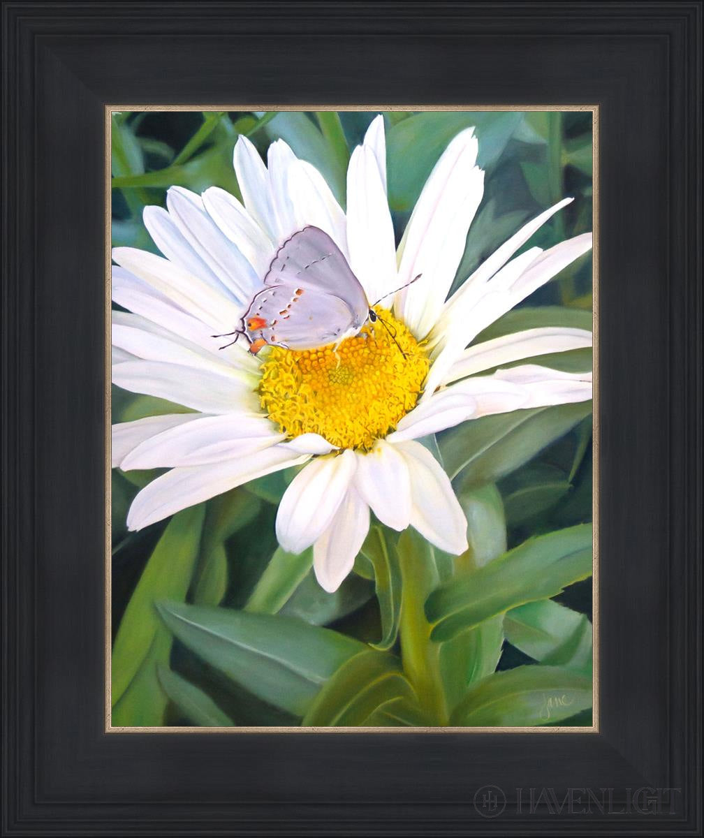 The Daisy And Butterfly Open Edition Print / 11 X 14 Black 15 3/4 18 Art