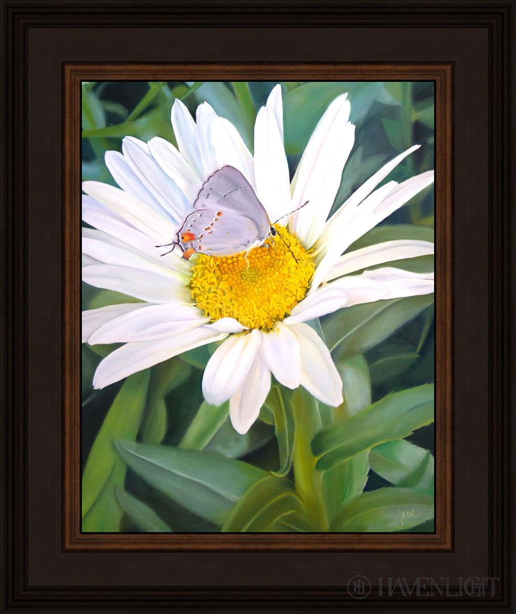 The Daisy And Butterfly Open Edition Print / 11 X 14 Brown 15 3/4 18 Art