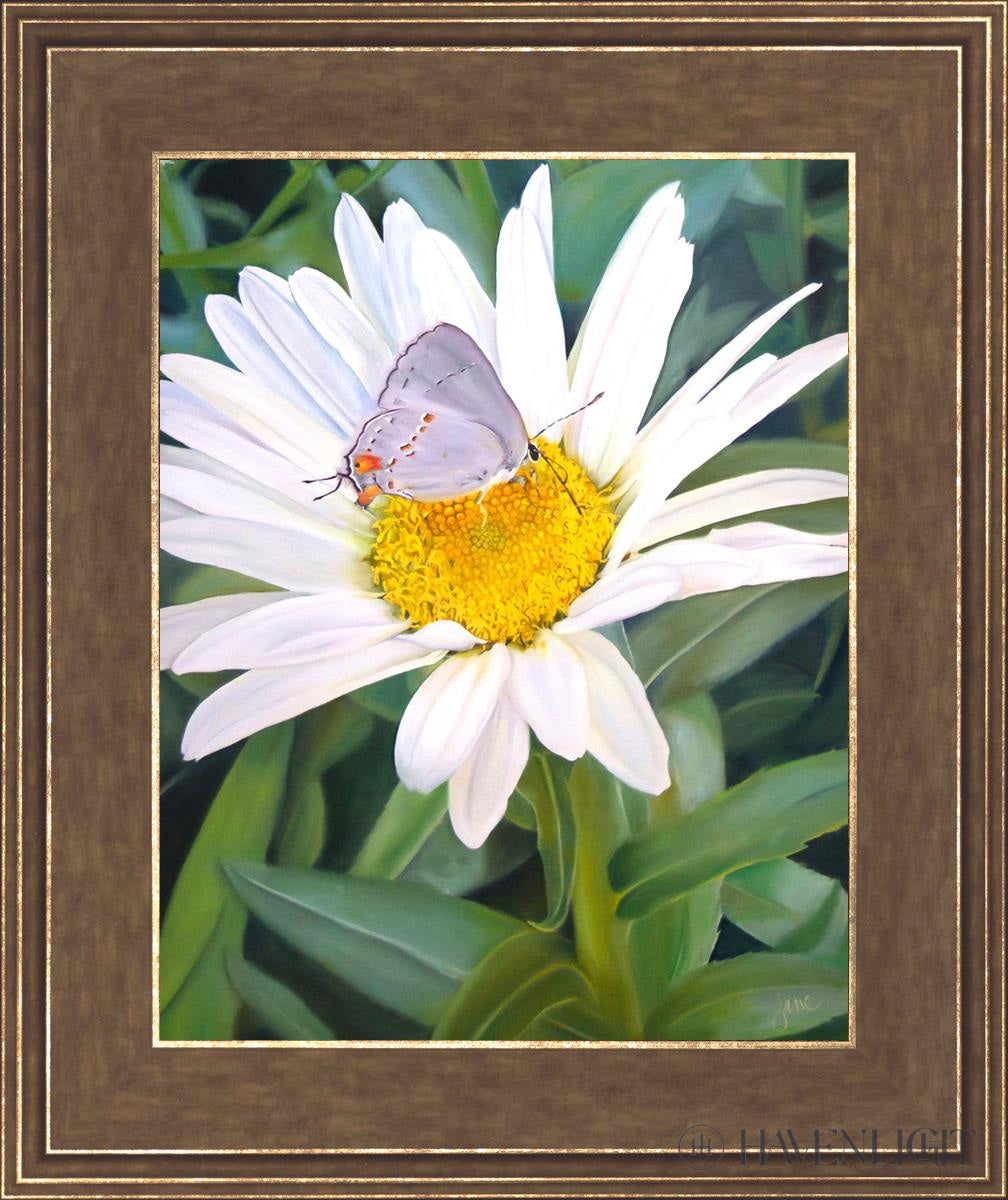 The Daisy And Butterfly Open Edition Print / 11 X 14 Gold 15 3/4 18 Art
