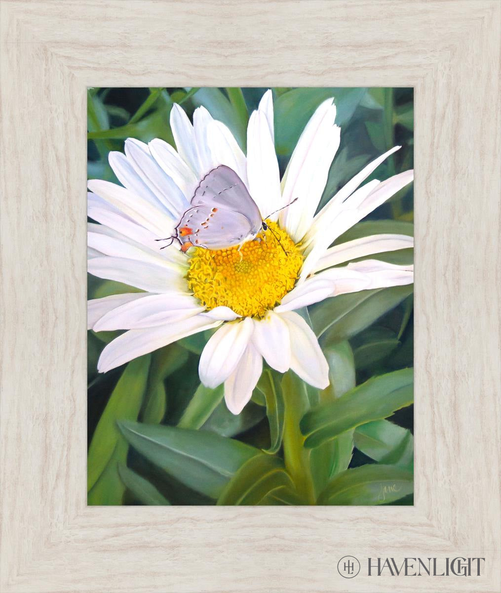 The Daisy And Butterfly Open Edition Print / 11 X 14 Ivory 16 1/2 19 Art