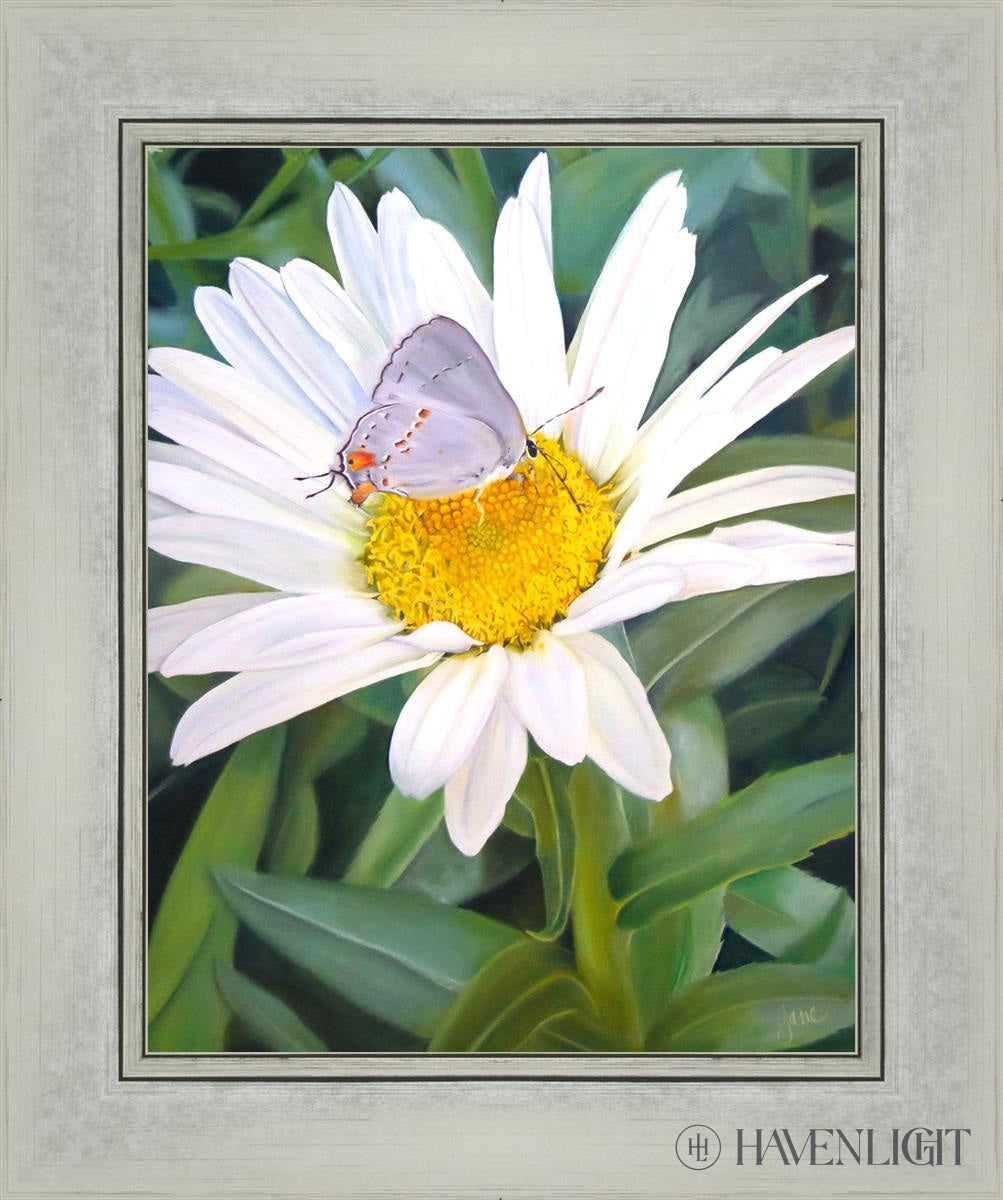 The Daisy And Butterfly Open Edition Print / 11 X 14 Silver 15 1/4 18 Art
