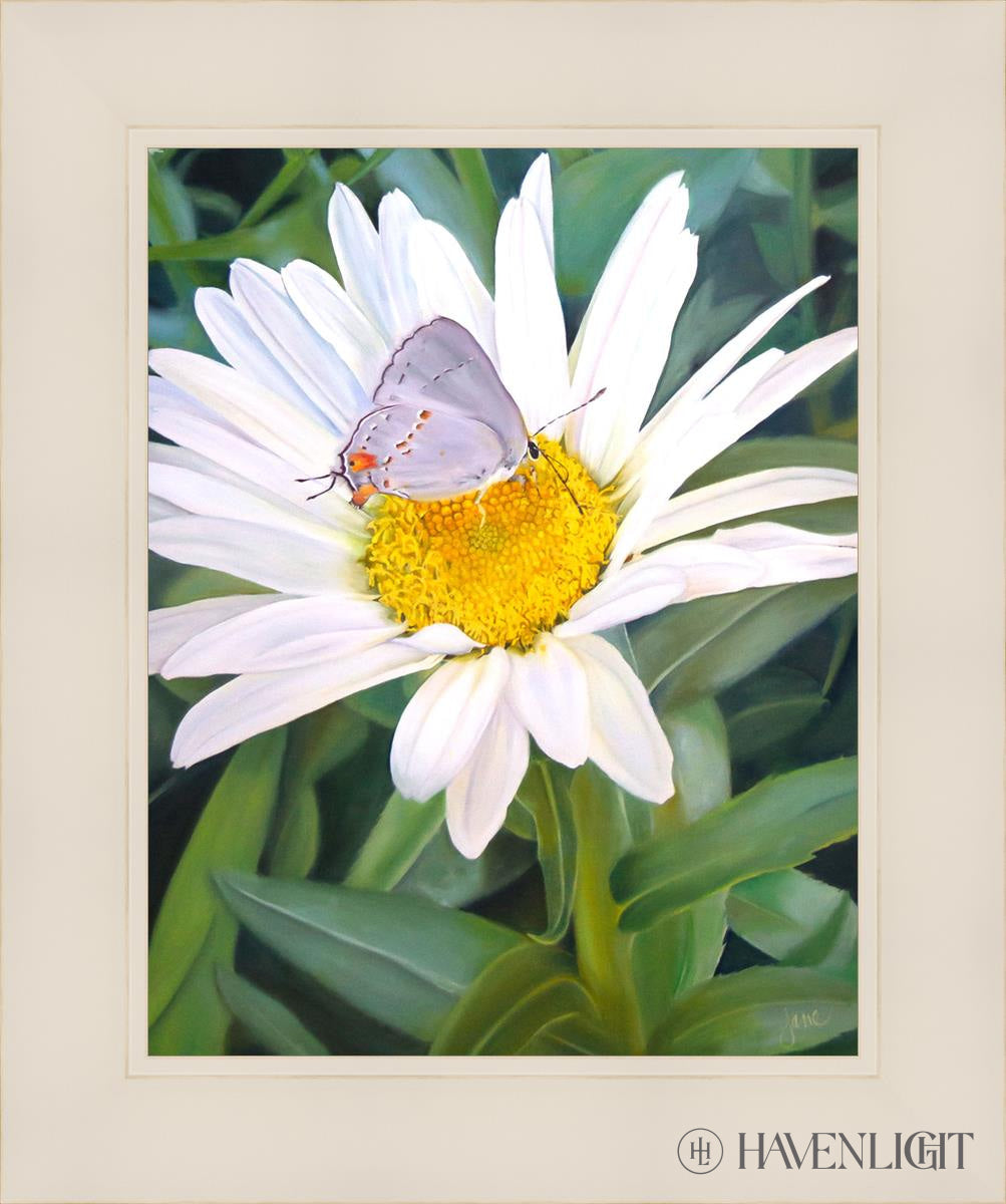 The Daisy And Butterfly Open Edition Print / 11 X 14 White 15 1/4 18 Art