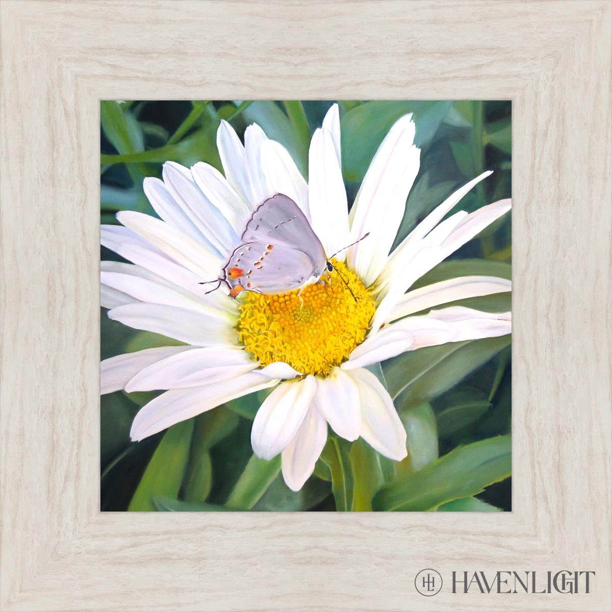 The Daisy And Butterfly Open Edition Print / 12 X Ivory 17 1/2 Art