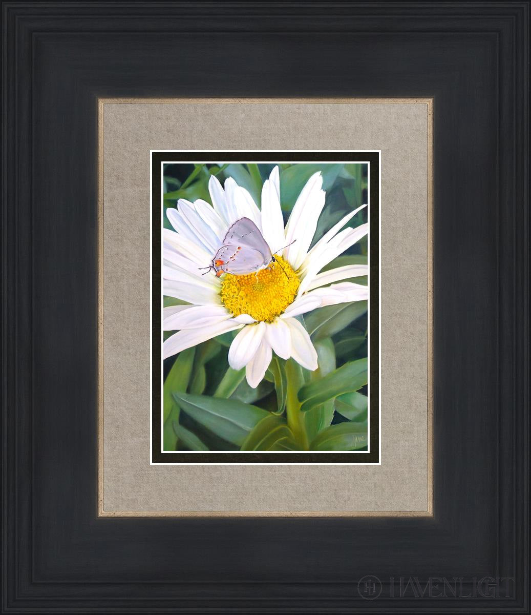 The Daisy And Butterfly Open Edition Print / 5 X 7 Black 12 3/4 14 Art