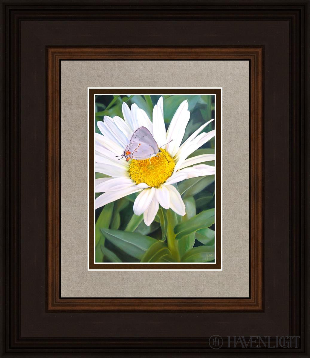 The Daisy And Butterfly Open Edition Print / 5 X 7 Brown 12 3/4 14 Art