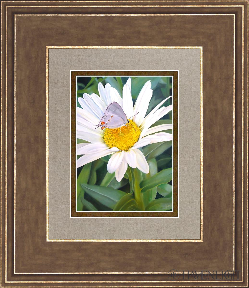 The Daisy And Butterfly Open Edition Print / 5 X 7 Gold 12 3/4 14 Art