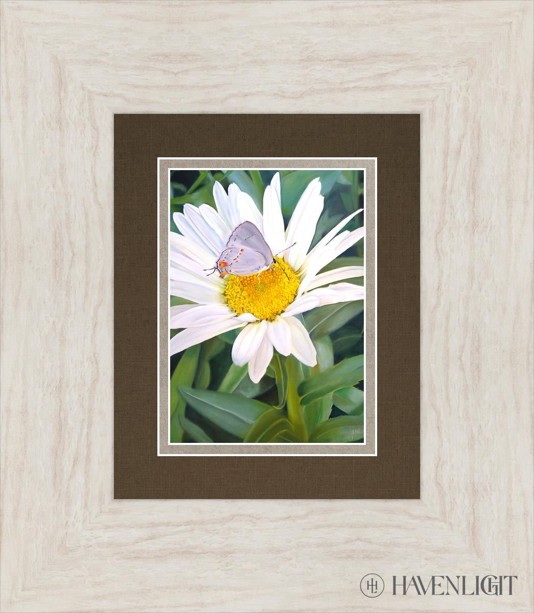 The Daisy And Butterfly Open Edition Print / 5 X 7 Ivory 13 1/2 15 Art