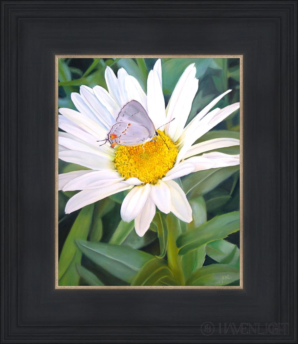 The Daisy And Butterfly Open Edition Print / 8 X 10 Black 12 3/4 14 Art