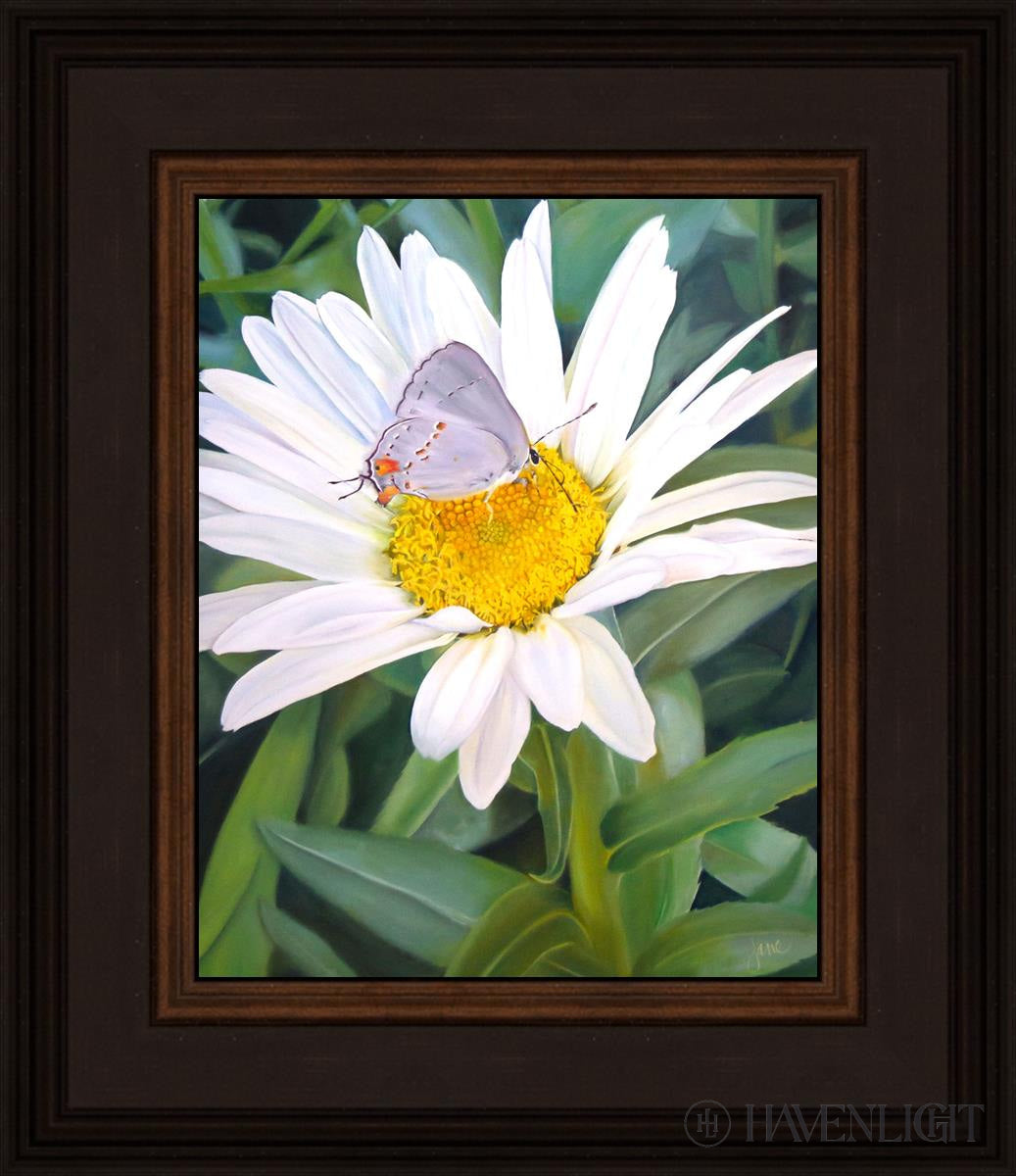 The Daisy And Butterfly Open Edition Print / 8 X 10 Brown 12 3/4 14 Art