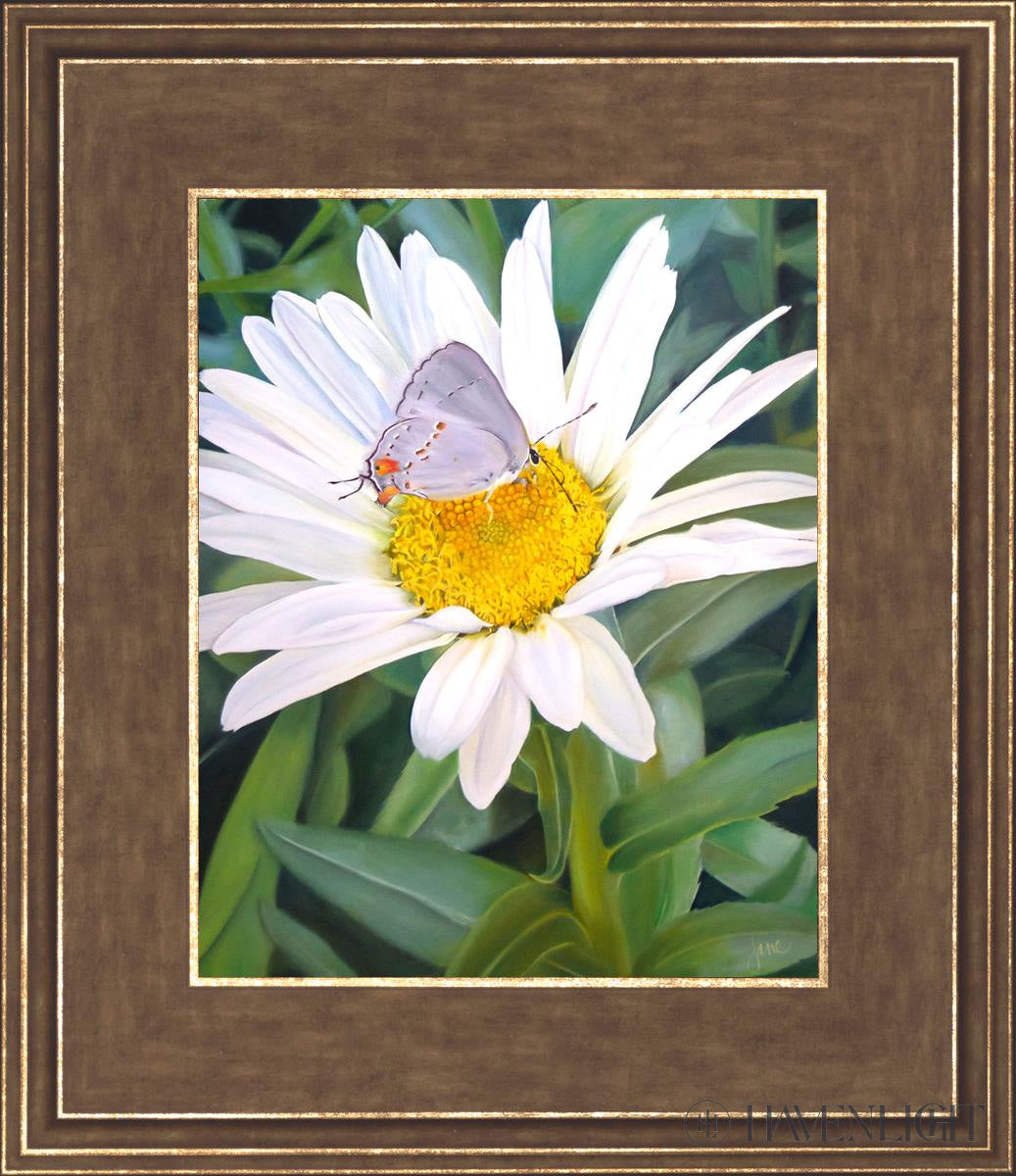 The Daisy And Butterfly Open Edition Print / 8 X 10 Gold 12 3/4 14 Art