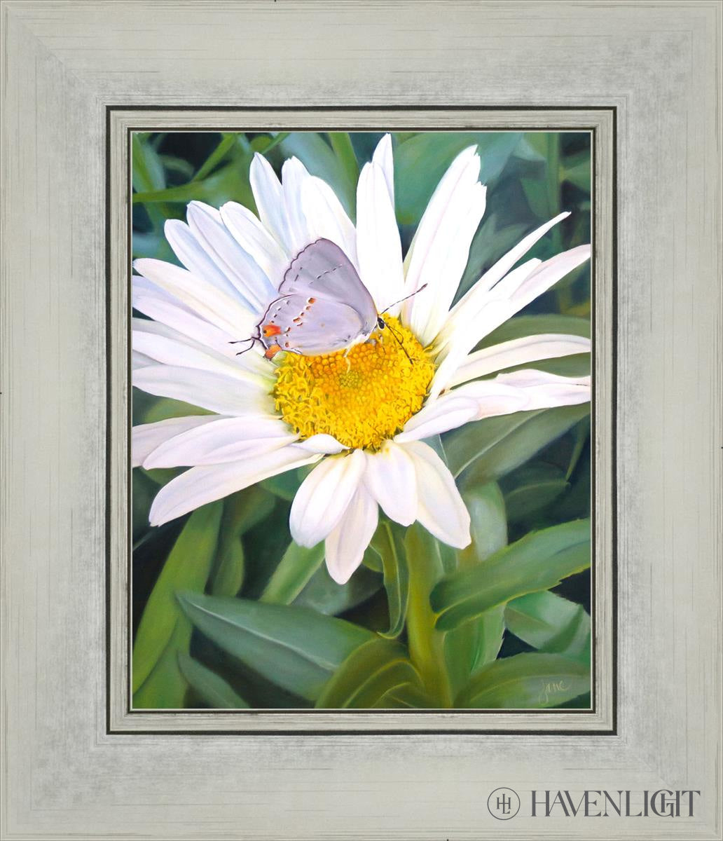The Daisy And Butterfly Open Edition Print / 8 X 10 Silver 12 1/4 14 Art