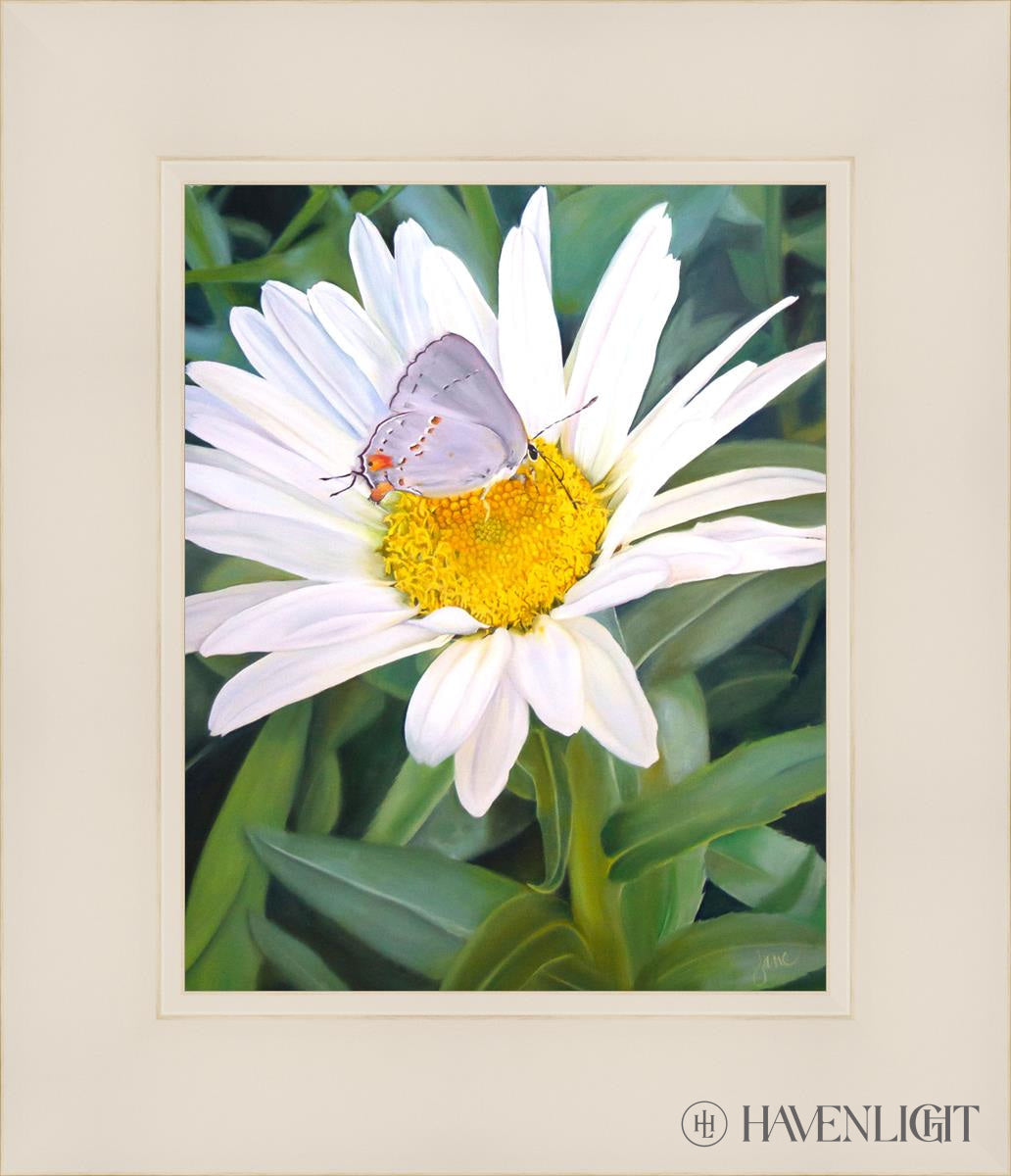 The Daisy And Butterfly Open Edition Print / 8 X 10 White 12 1/4 14 Art