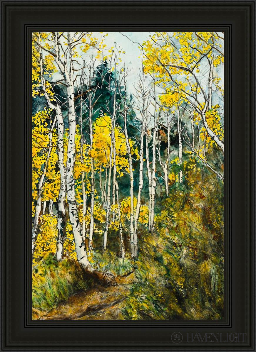 the golden wood by liz lindsay mountainside with aspen trees in