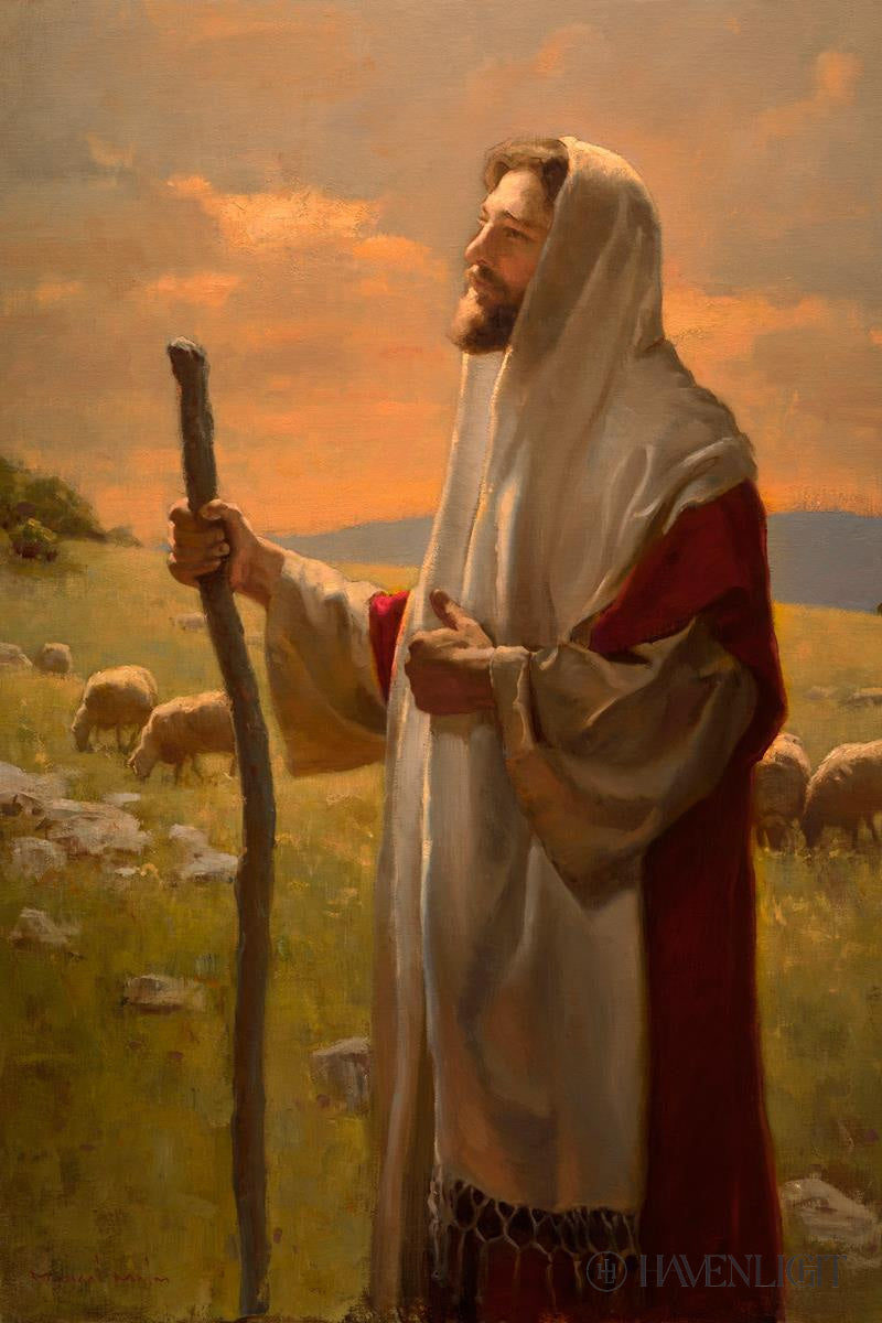 The Good Shepherd Open Edition Canvas / 16 X 24 Rolled In Tube Art