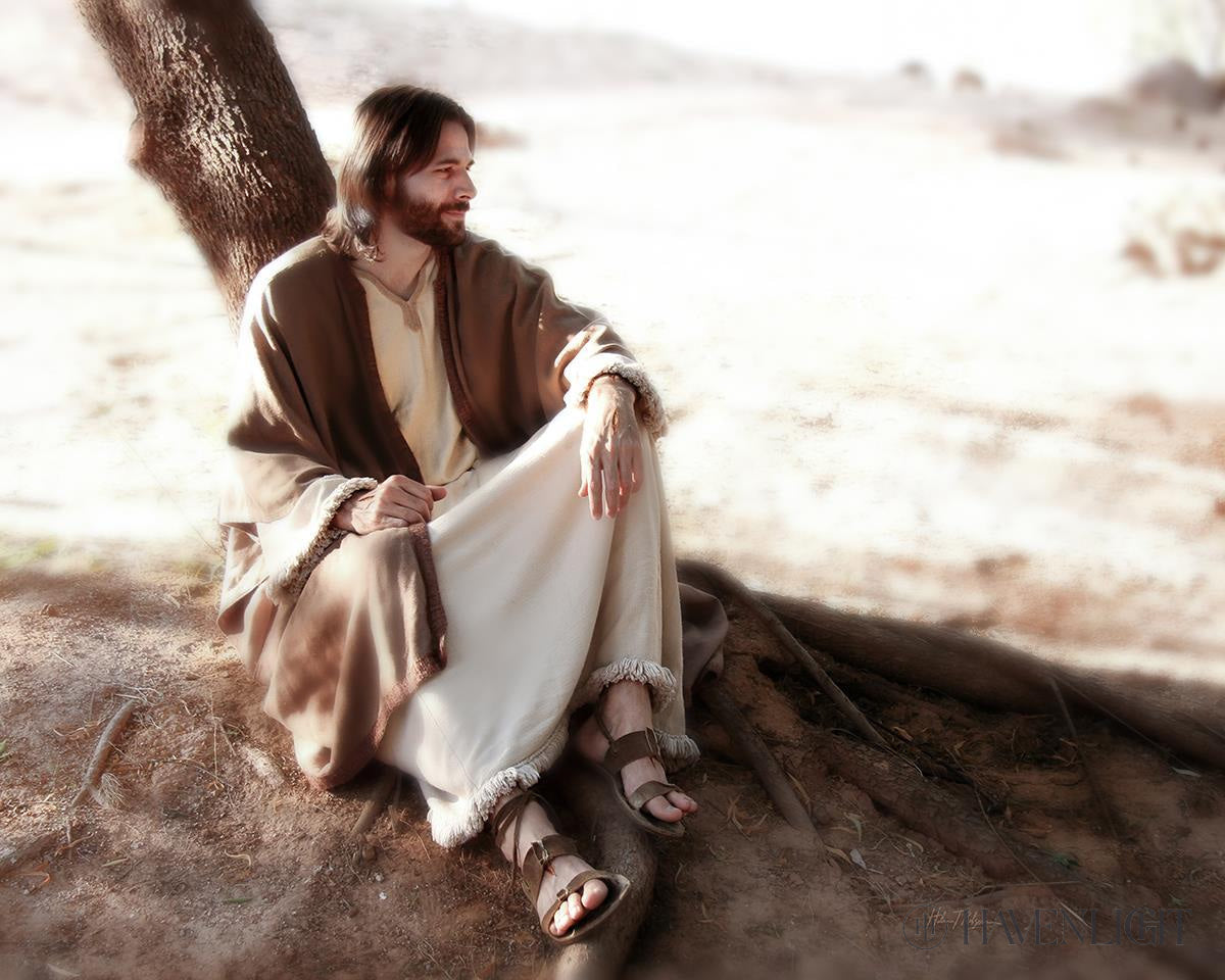 The Solitude of Christ