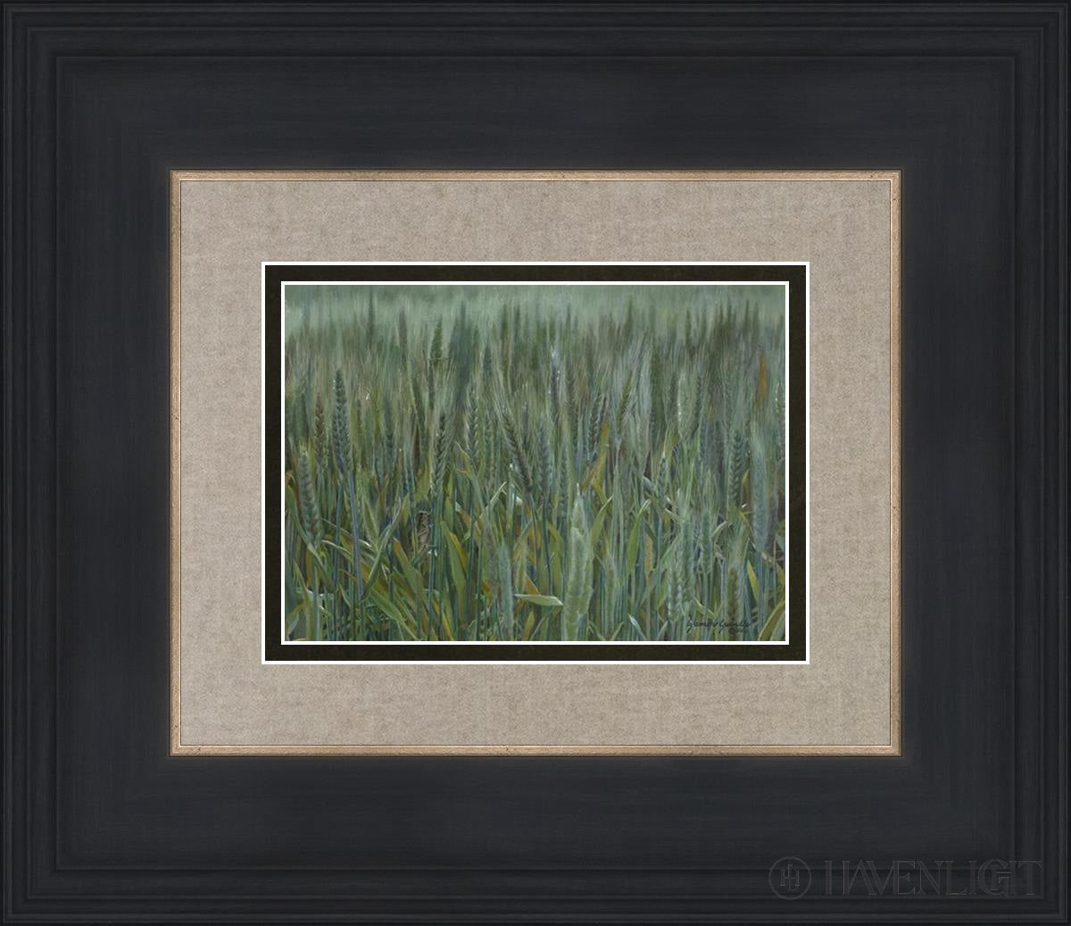 The Wheat And Tares Open Edition Print / 7 X 5 Black 14 3/4 12 Art