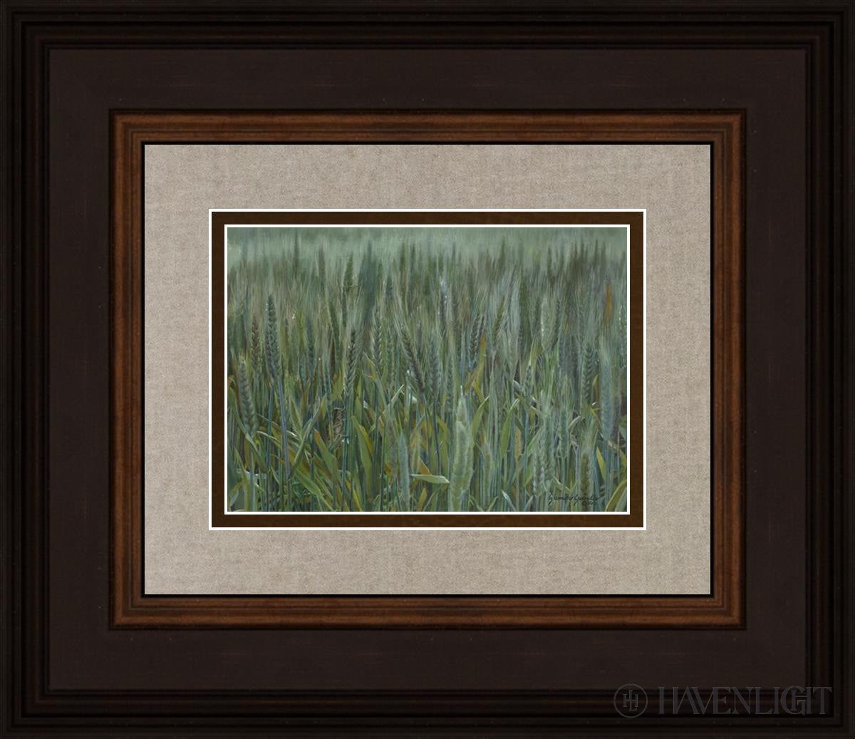 The Wheat And Tares Open Edition Print / 7 X 5 Brown 14 3/4 12 Art