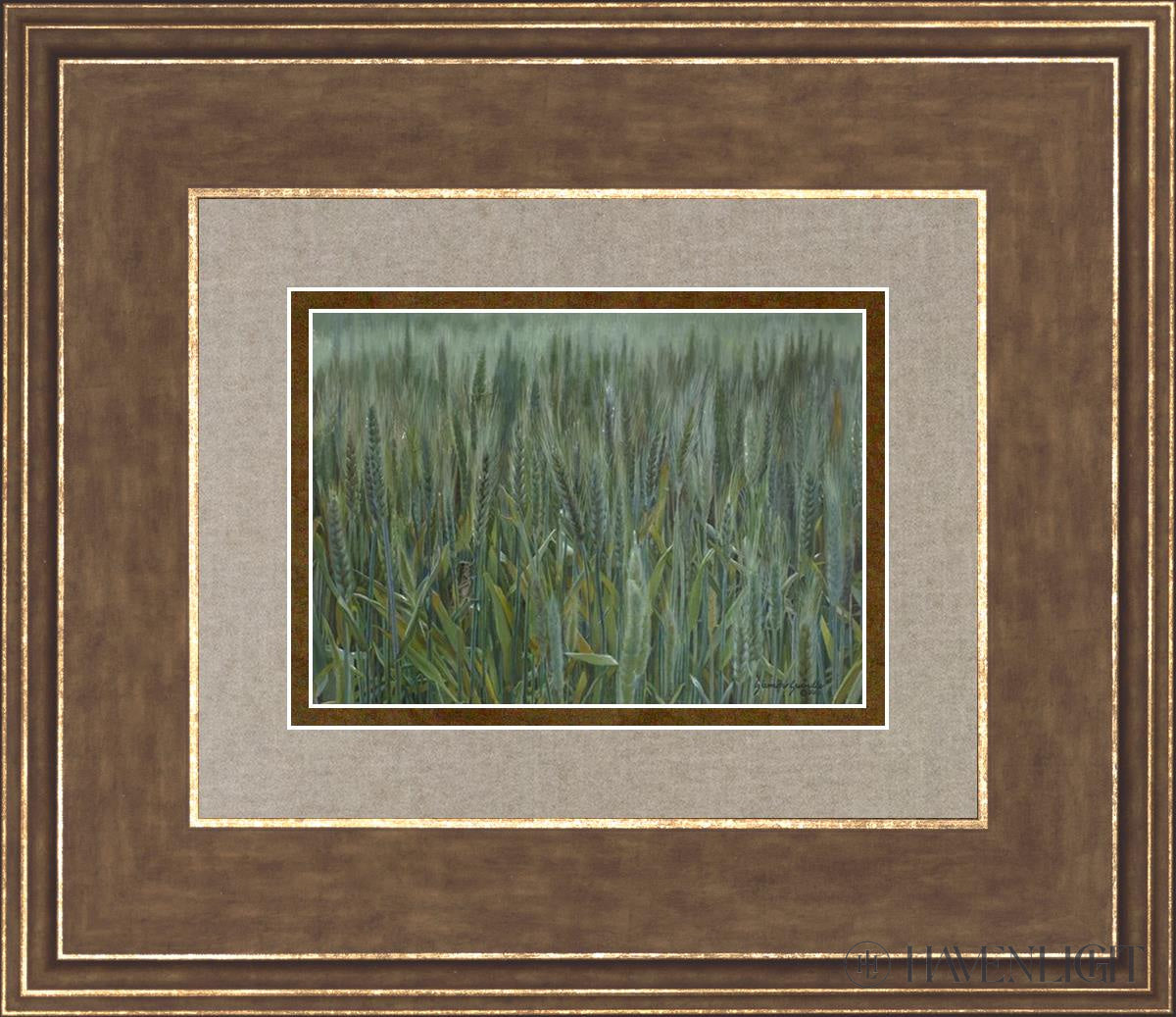 The Wheat And Tares Open Edition Print / 7 X 5 Gold 14 3/4 12 Art