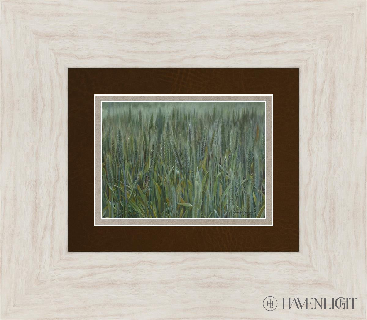 The Wheat And Tares Open Edition Print / 7 X 5 Ivory 15 1/2 13 Art