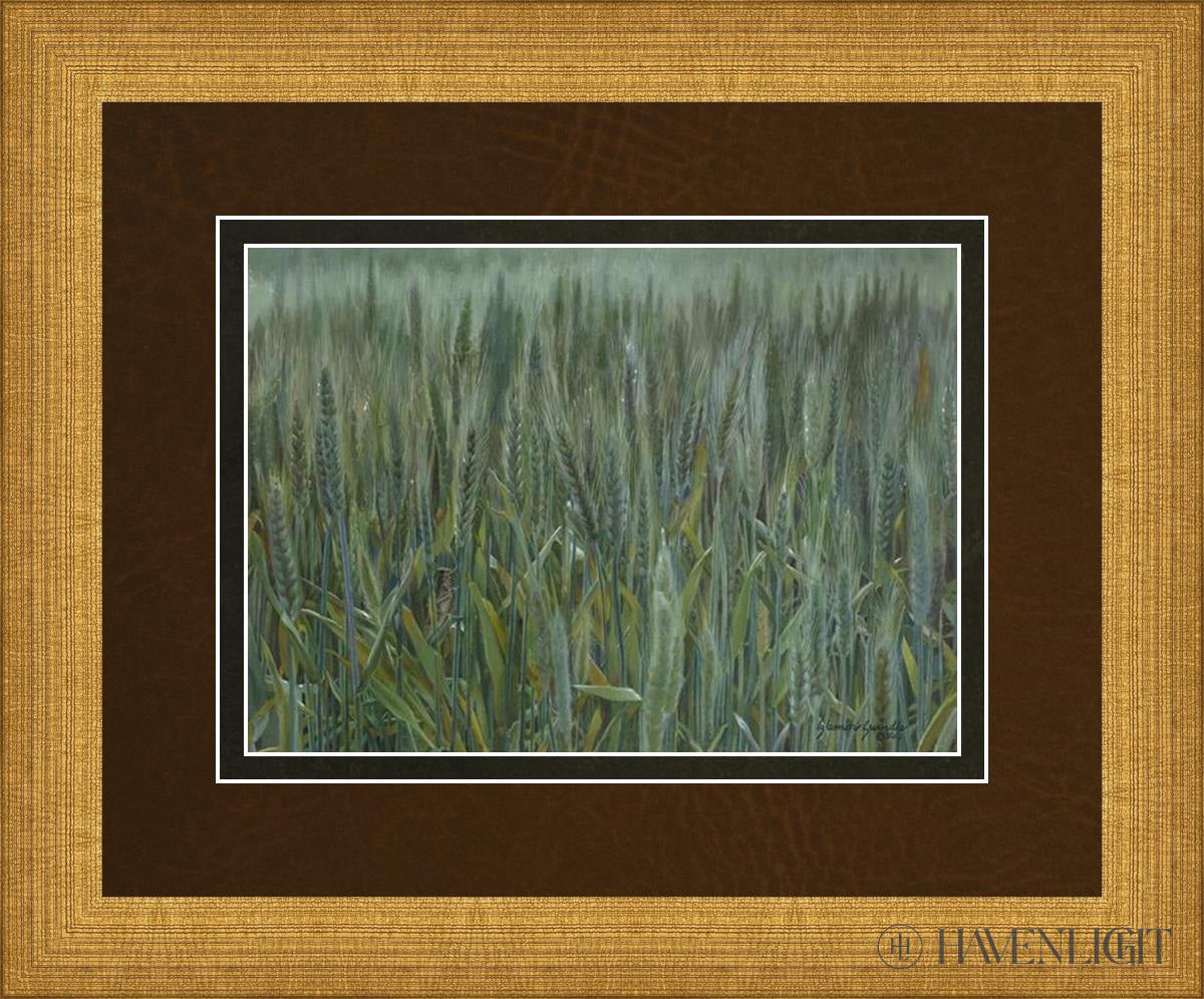 The Wheat And Tares Open Edition Print / 7 X 5 Matte Gold 11 3/4 9 Art