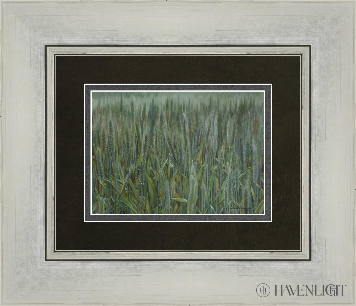 The Wheat And Tares Open Edition Print / 7 X 5 Silver 14 1/4 12 Art