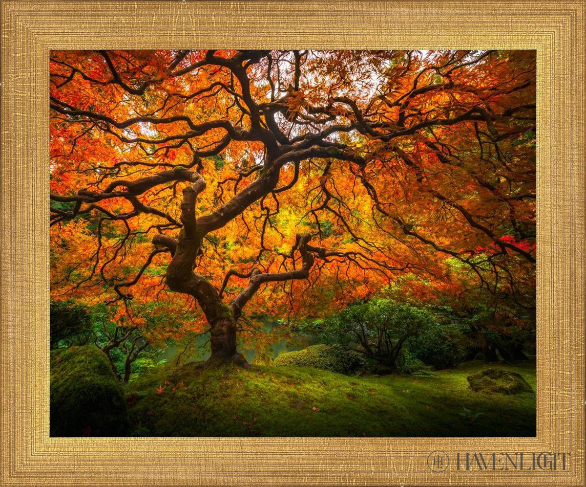 Tree Of Perspective Open Edition Print / 10 X 8 Matte Gold 11 3/4 9 Art