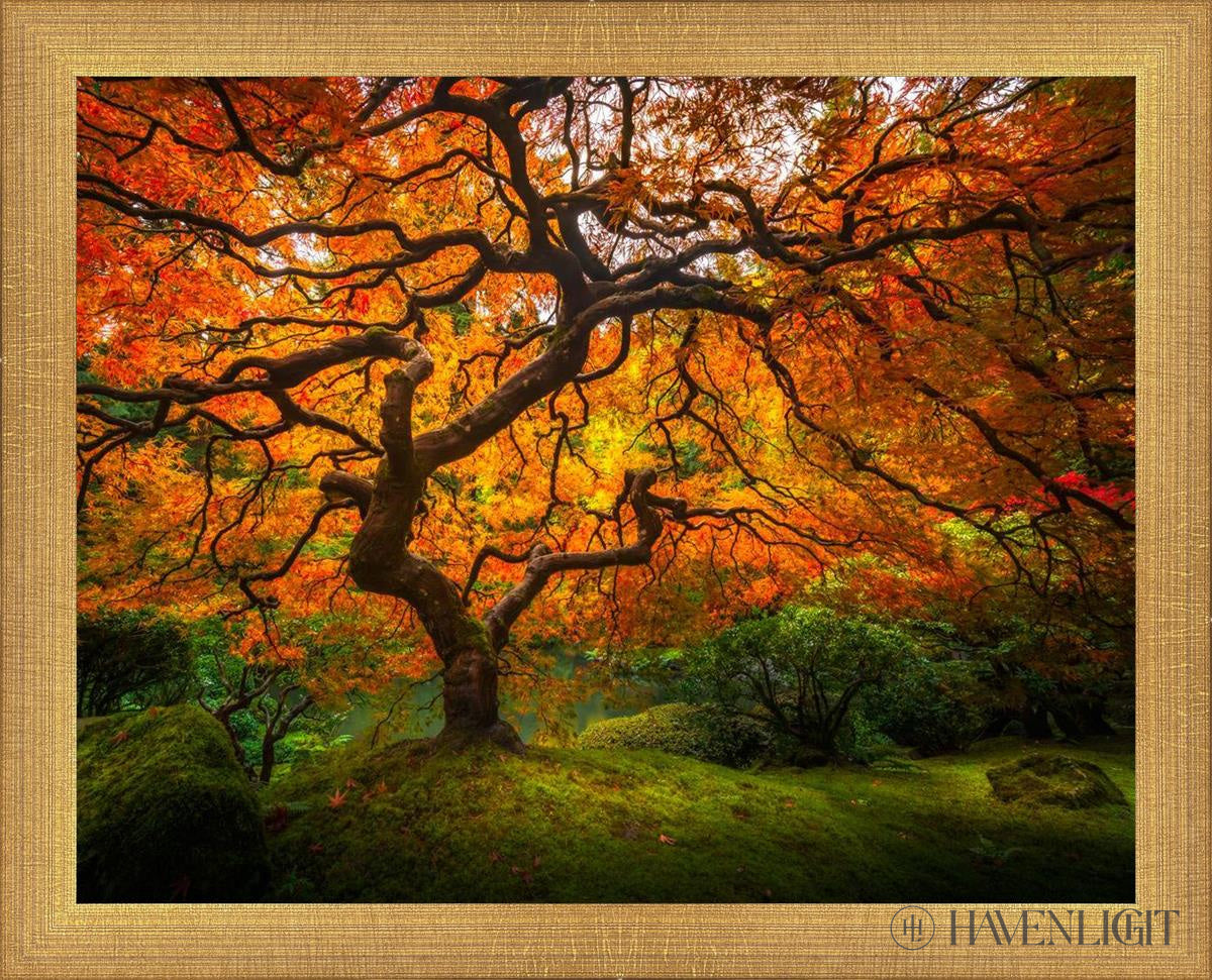 Tree Of Perspective Open Edition Print / 14 X 11 Matte Gold 15 3/4 12 Art
