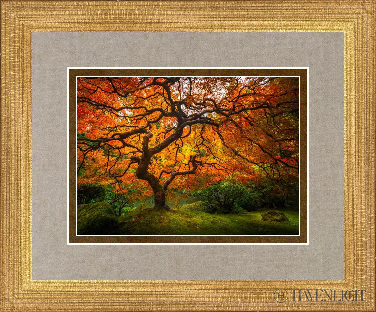 Tree Of Perspective Open Edition Print / 7 X 5 Matte Gold 11 3/4 9 Art
