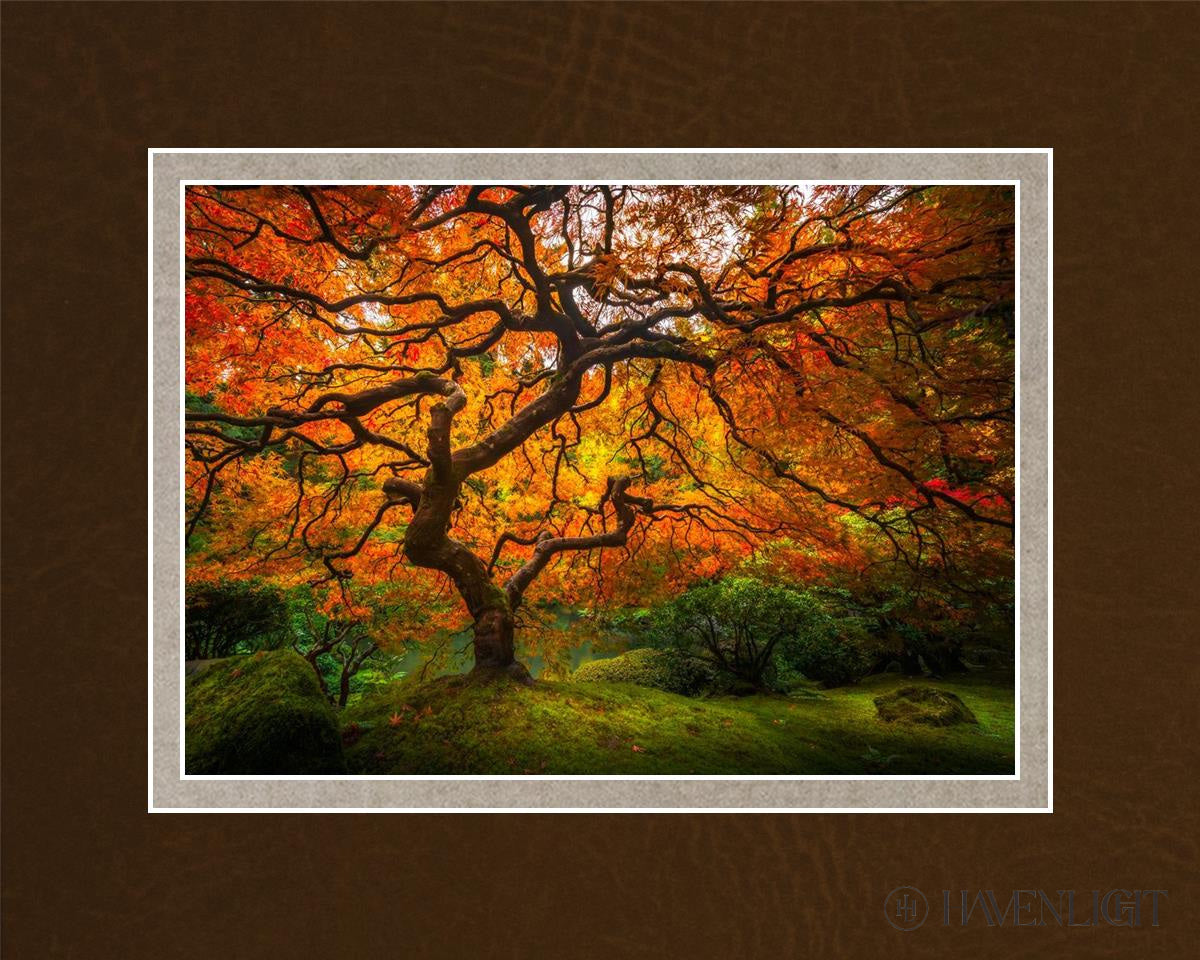 Tree Of Perspective Open Edition Print / 7 X 5 Matted To 10 8 Art