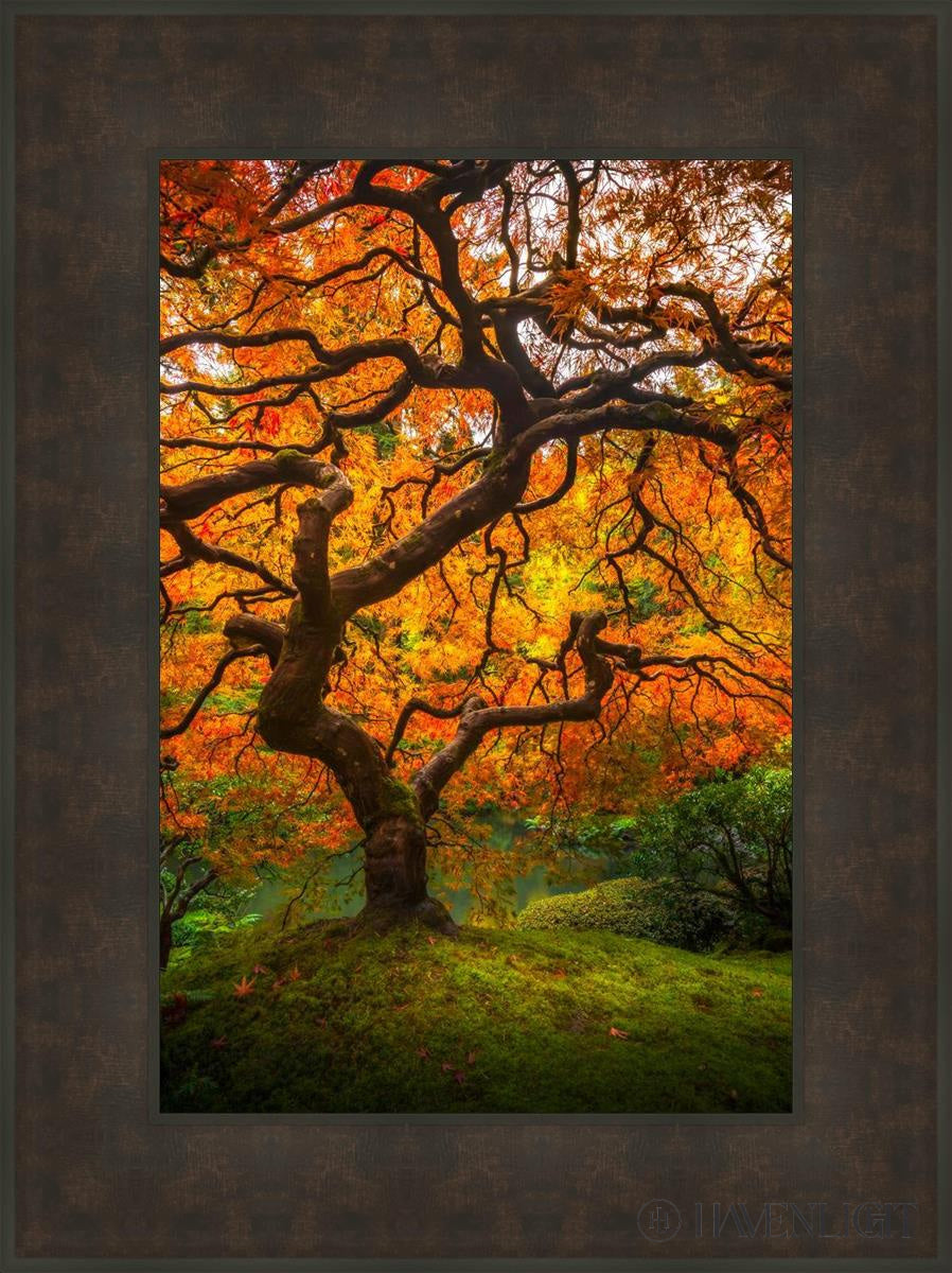 Tree Of Perspective Vertical Open Edition Canvas / 16 X 24 Bronze Frame 23 3/4 31 Art
