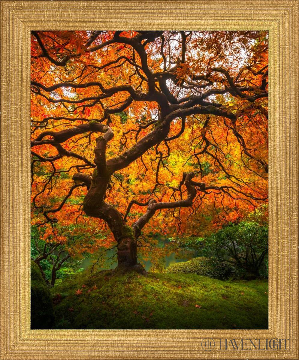 Tree Of Perspective Vertical Open Edition Print / 8 X 10 Matte Gold 9 3/4 11 Art