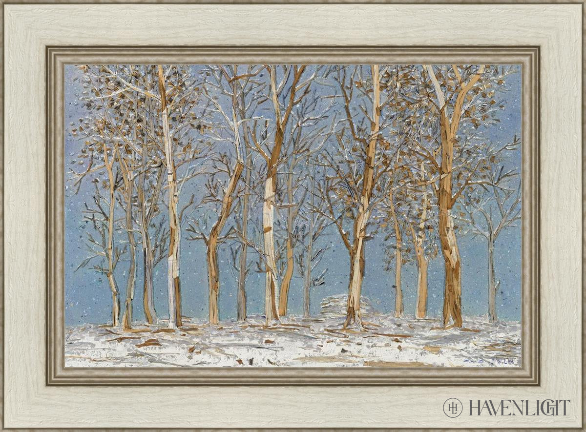 Winter Woods Open Edition Canvas / 24 X 16 Ivory 30 1/2 22 Art