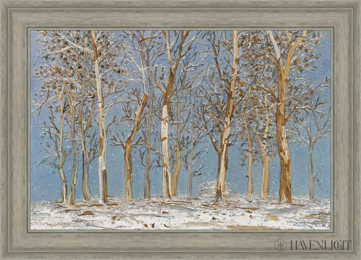 Winter Woods Open Edition Canvas / 30 X 20 Gray 35 3/4 25 Art