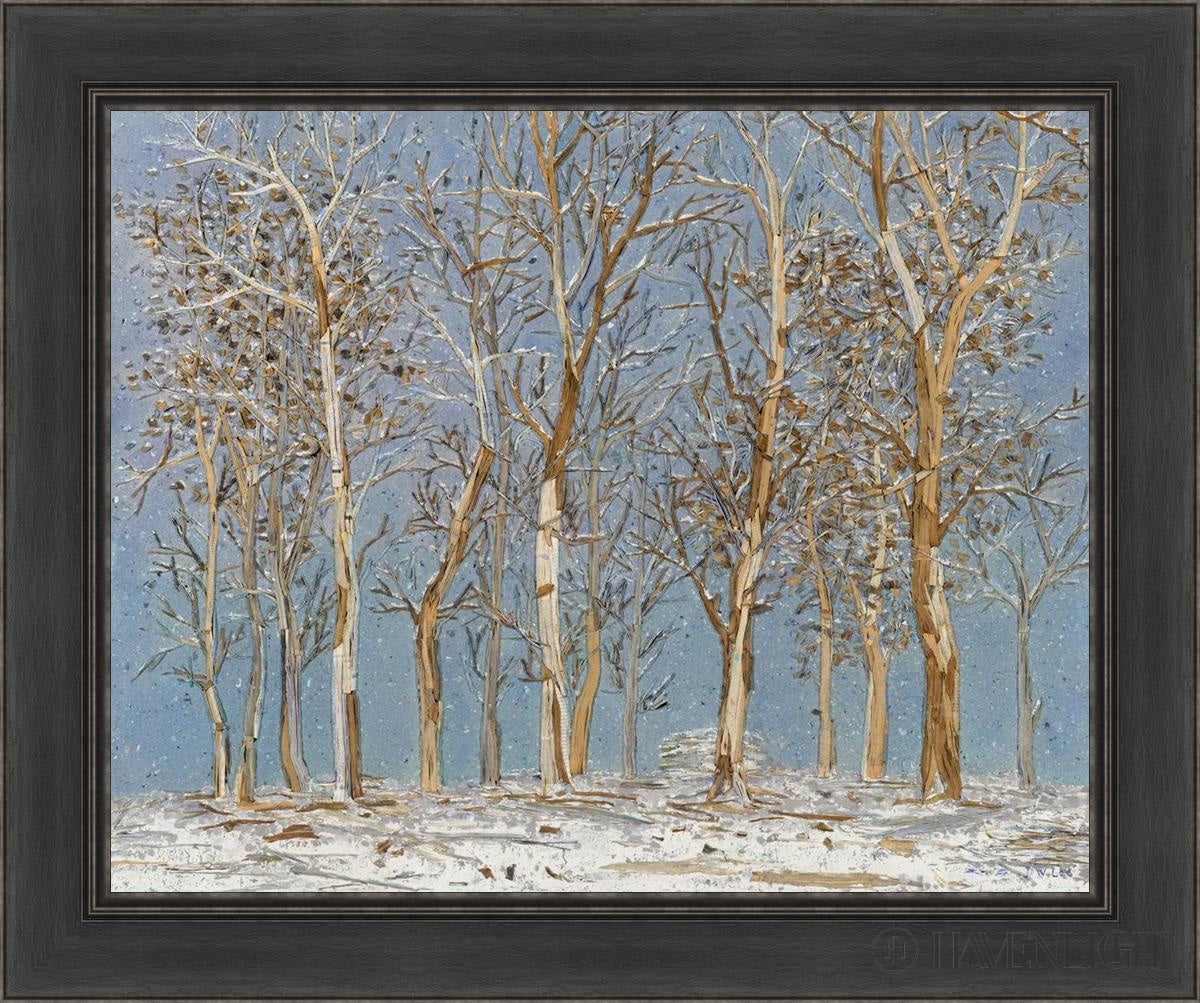 Winter Woods Open Edition Canvas / 30 X 24 Black 36 1/2 Art