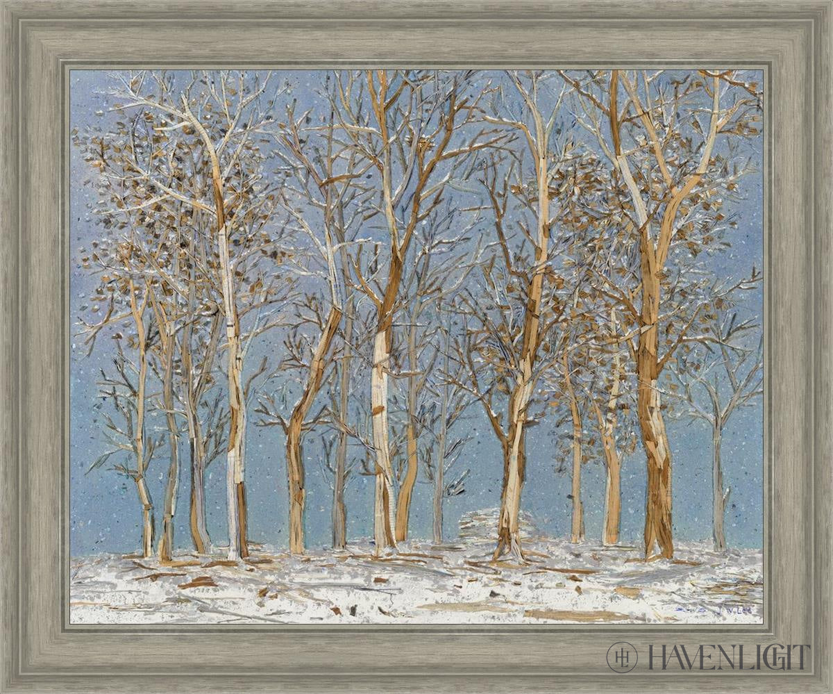 Winter Woods Open Edition Canvas / 30 X 24 Gray 35 3/4 29 Art