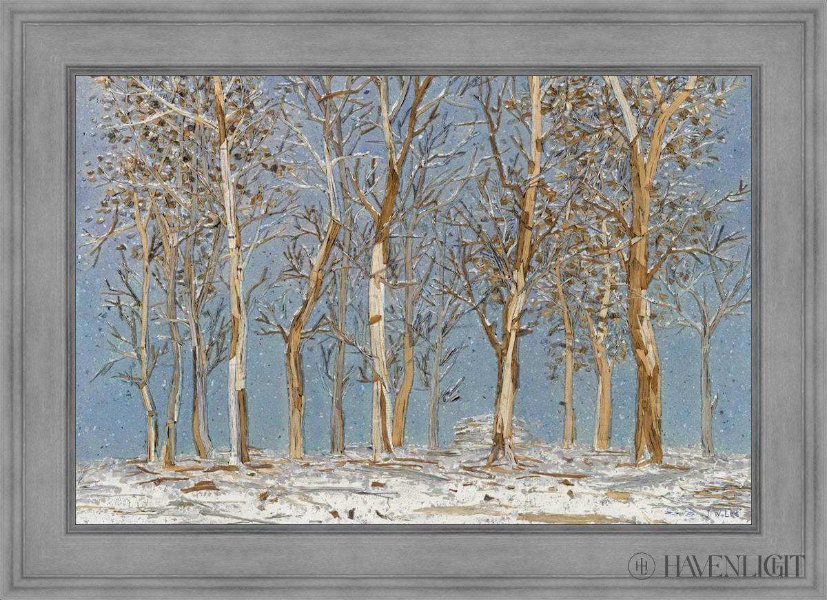 Winter Woods Open Edition Canvas / 36 X 24 Gray 43 3/4 31 Art