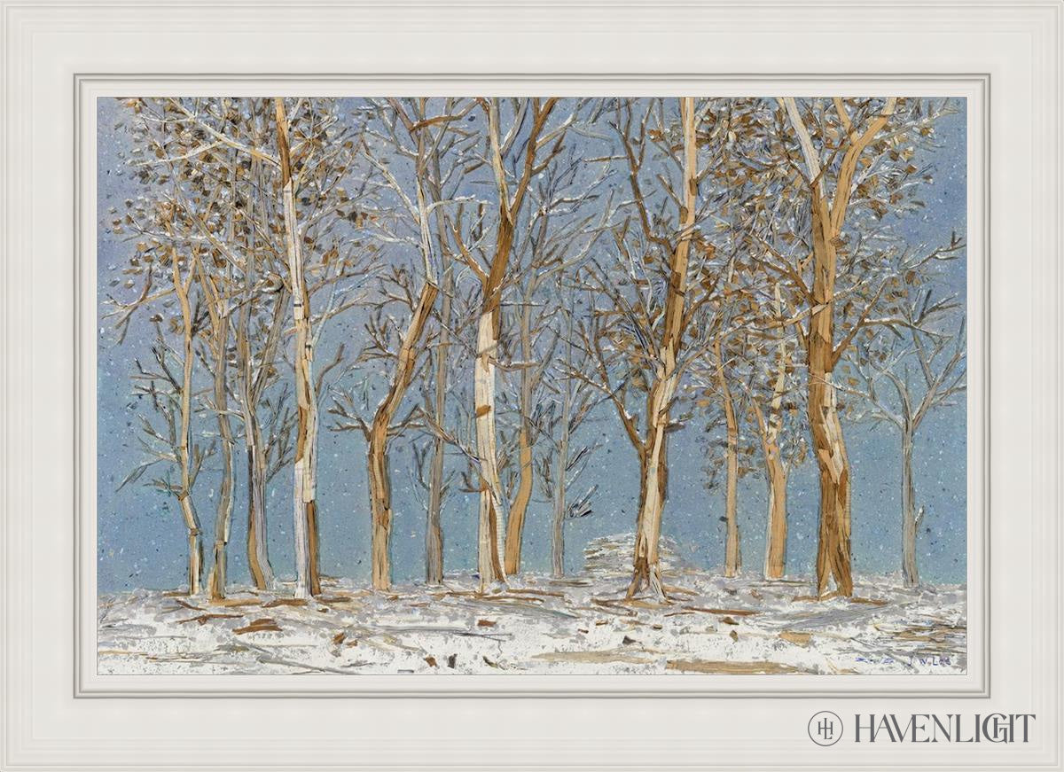 Winter Woods Open Edition Canvas / 36 X 24 White 43 3/4 31 Art