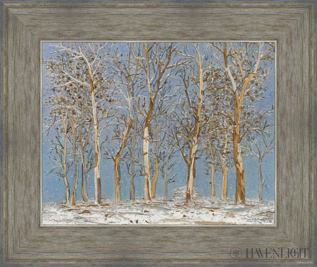 Winter Woods Open Edition Print / 14 X 11 Gray 18 3/4 15 Art