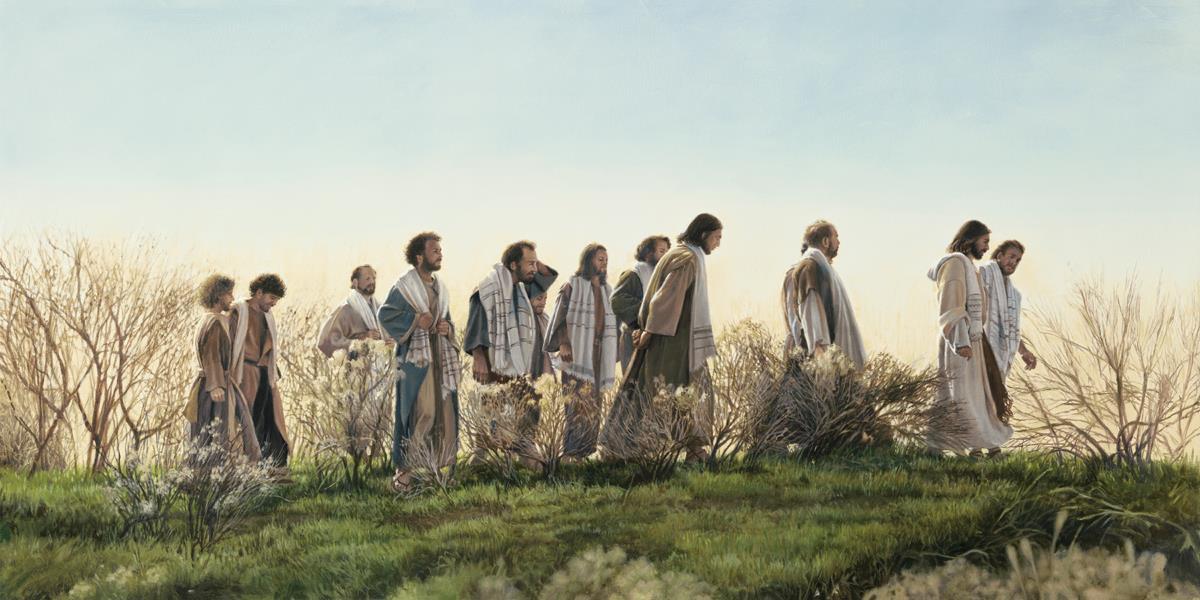 Without Purse or Scrip is a painting that depicts the 11 remaining apostles of Jesus Christ walking together doing missionary work - Liz Lemon Swindle | Havenlight | latter-day saint artwork
