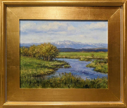 Spring Runoff on Camas Creek Original Artwork