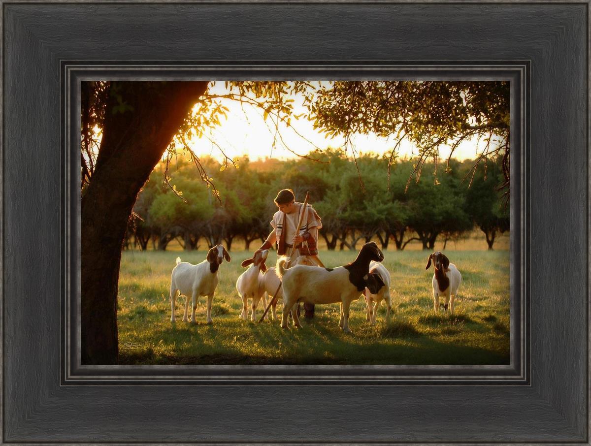 Tending the Flock