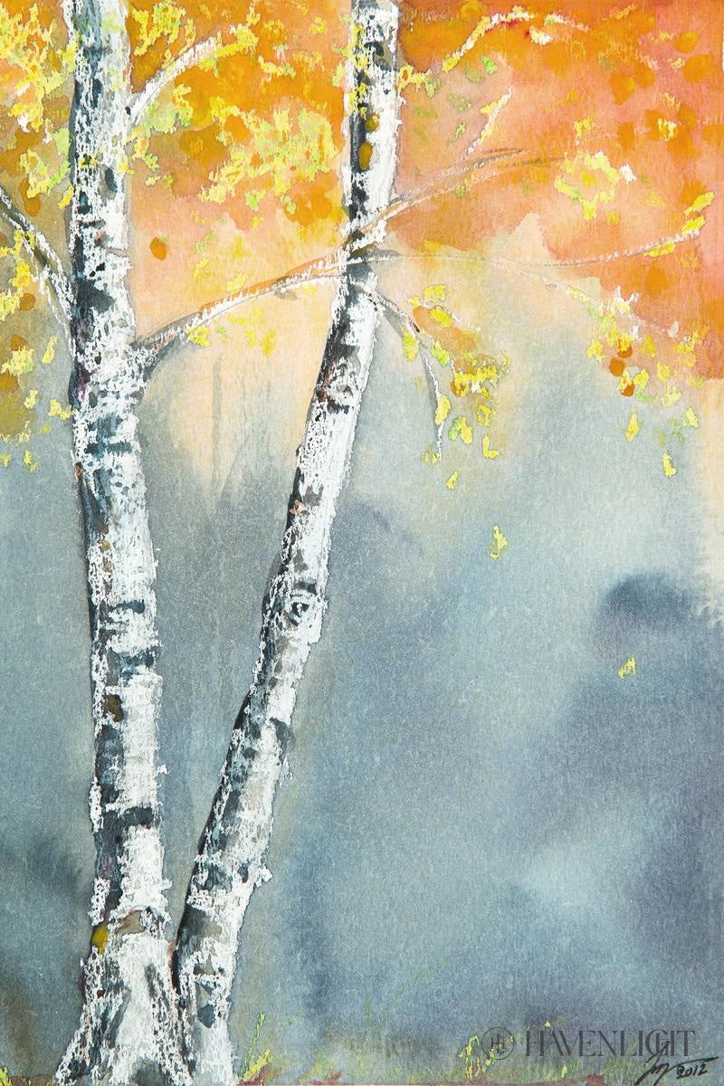 Aspen Fog Open Edition Canvas / 18 X 12 Rolled In Tube Art