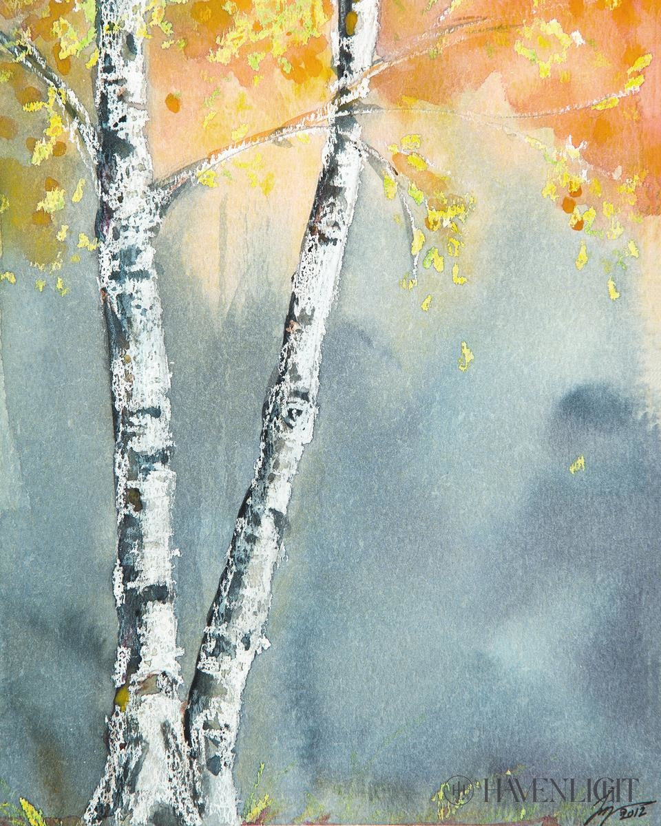 Aspen Fog Open Edition Print / 10 X 8 Only Art